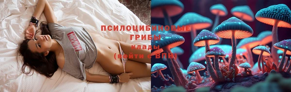прущая мука Абаза