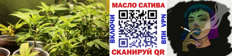 ТГК концентрат  площадка состав  Полярный  мега ONION 