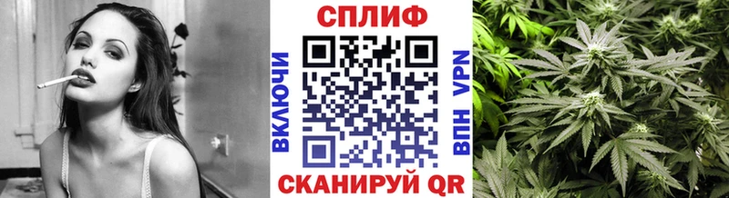 Бошки Шишки конопля  Полярный 